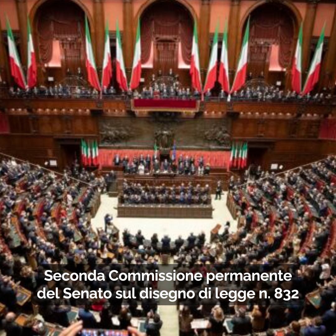 Seconda Commissione permanente del Senato sul disegno di legge n. 832