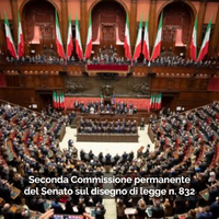 audizioni presso la Seconda Commissione permanente del Senato sul disegno di legge n. 832